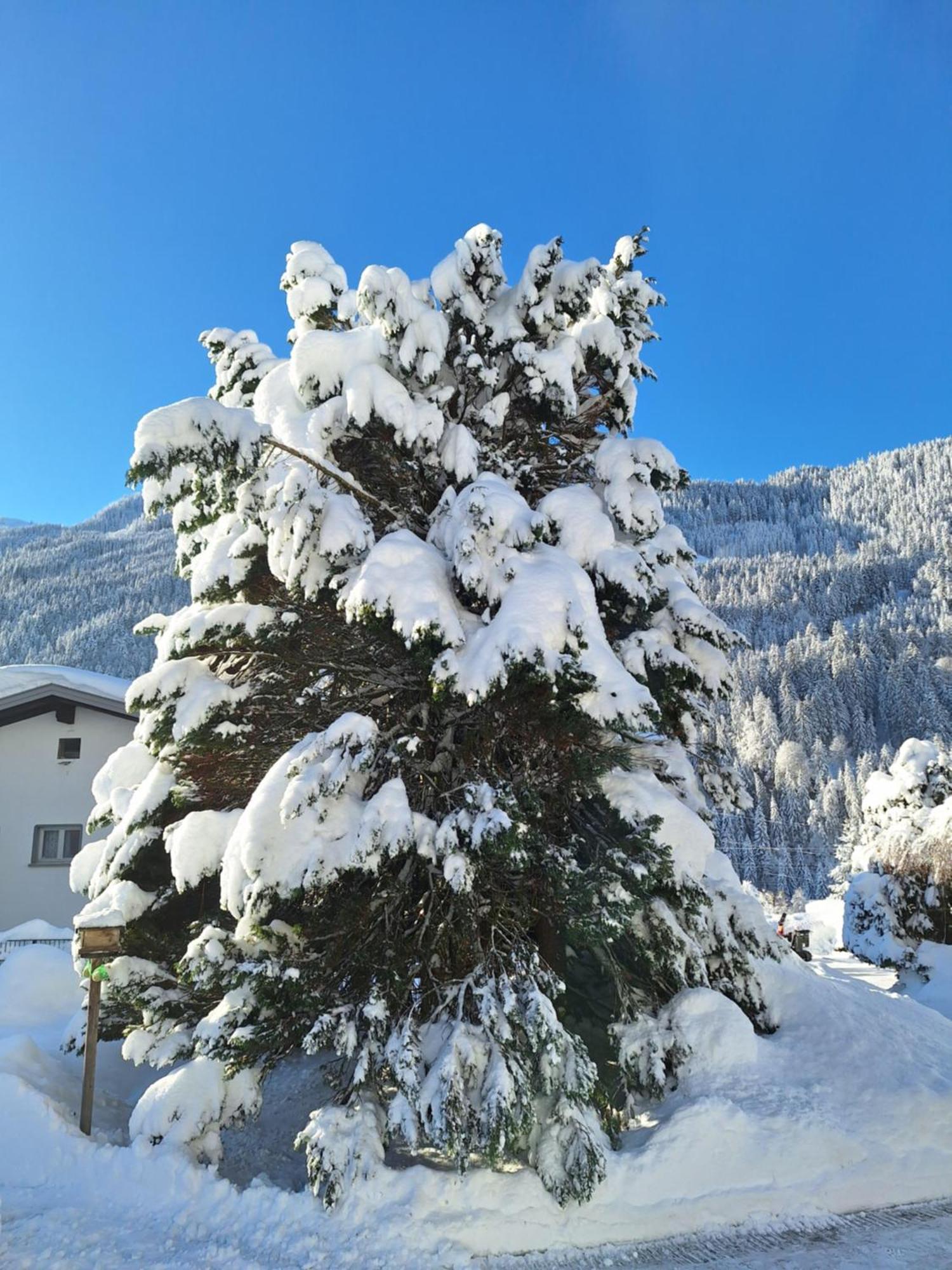 Ferienwohnungen Pollhammer Sankt Gallenkirch Exterior foto